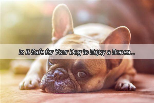 Is It Safe for Your Dog to Enjoy a BoneaDay Diet A WeekLong Bone Buffet Unveiled